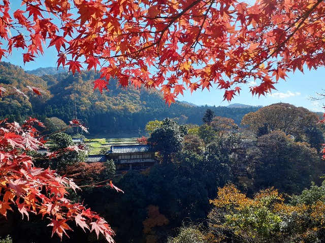 f:id:navi110:20241202181653j:image