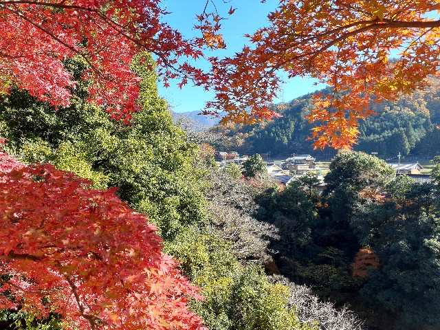 f:id:navi110:20241202181713j:image