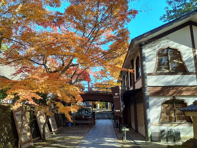 f:id:navi110:20241202181817j:image