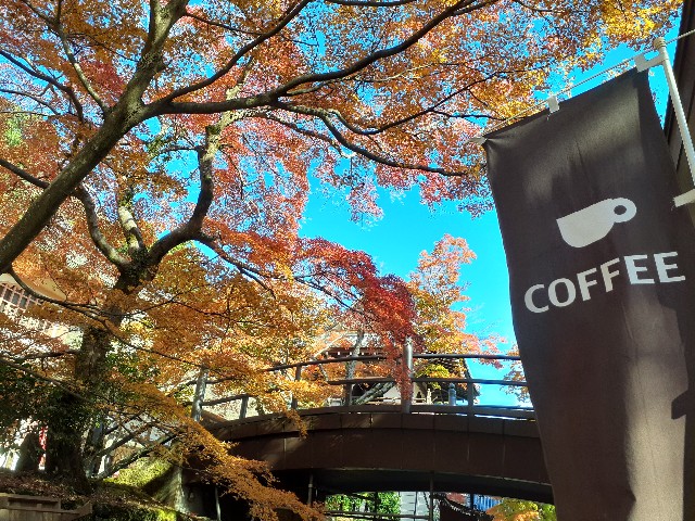 f:id:navi110:20241202181845j:image