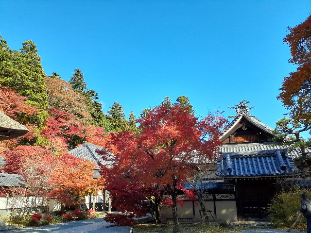 f:id:navi110:20241202182047j:image