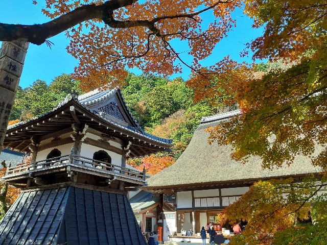 f:id:navi110:20241202182143j:image