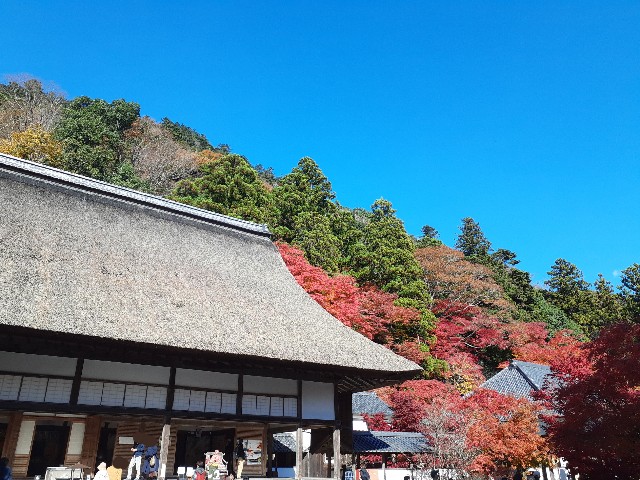 f:id:navi110:20241202182305j:image