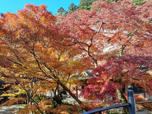 f:id:navi110:20241202182807j:image