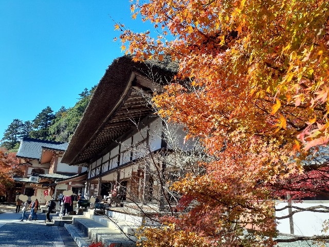 f:id:navi110:20241202184017j:image