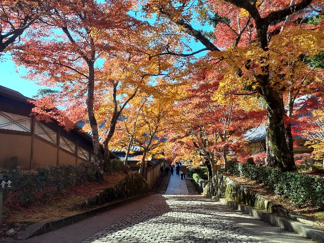 f:id:navi110:20241202184020j:image