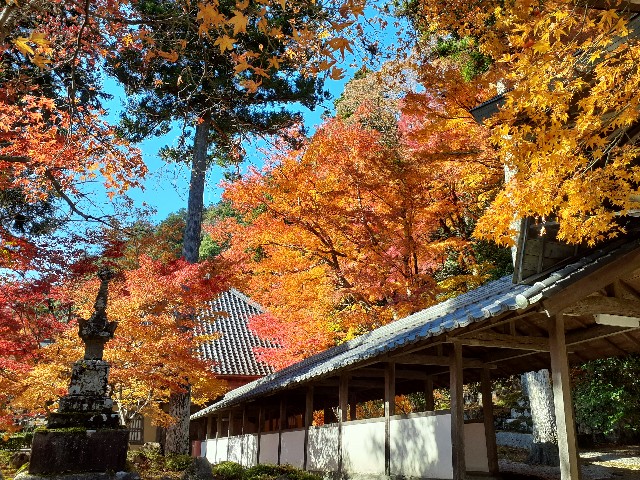 f:id:navi110:20241202190302j:image