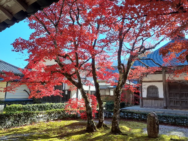 f:id:navi110:20241202190340j:image