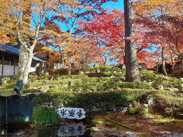 f:id:navi110:20241202191638j:image