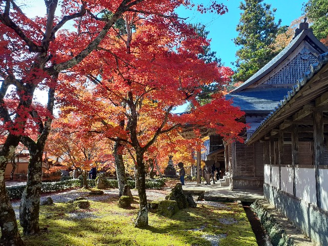 f:id:navi110:20241202203854j:image