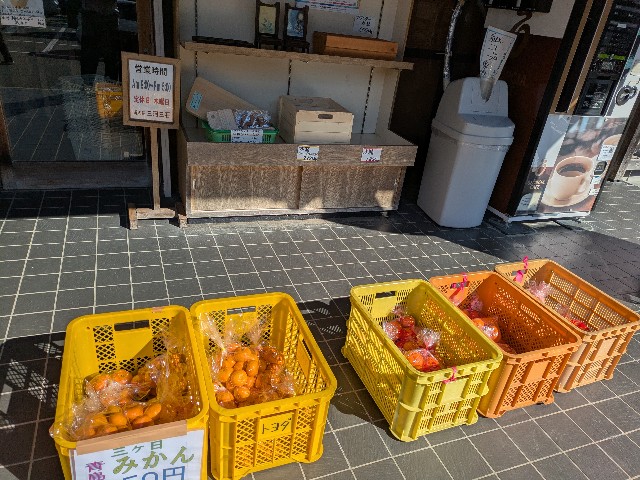 f:id:navi110:20250125190716j:image