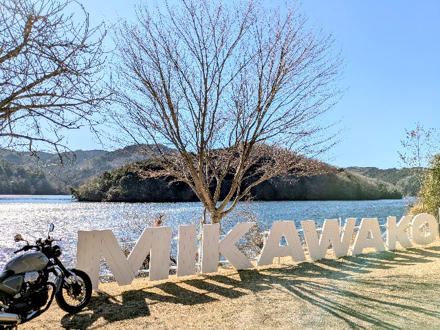 f:id:navi110:20250125211721j:image