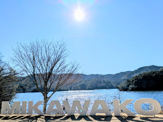 f:id:navi110:20250125211941j:image