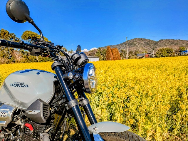 f:id:navi110:20250223205048j:image