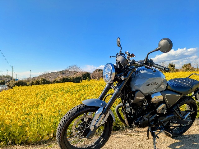 f:id:navi110:20250223205149j:image