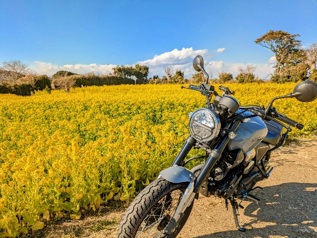 f:id:navi110:20250223205202j:image