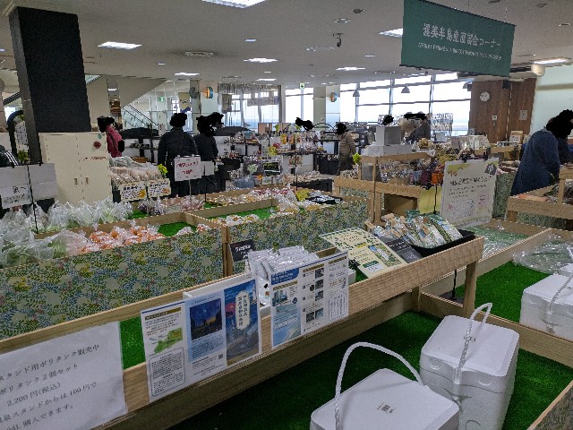 f:id:navi110:20250223213645j:image