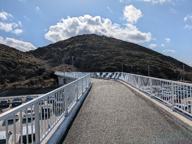 f:id:navi110:20250223220036j:image