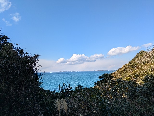 f:id:navi110:20250223220148j:image