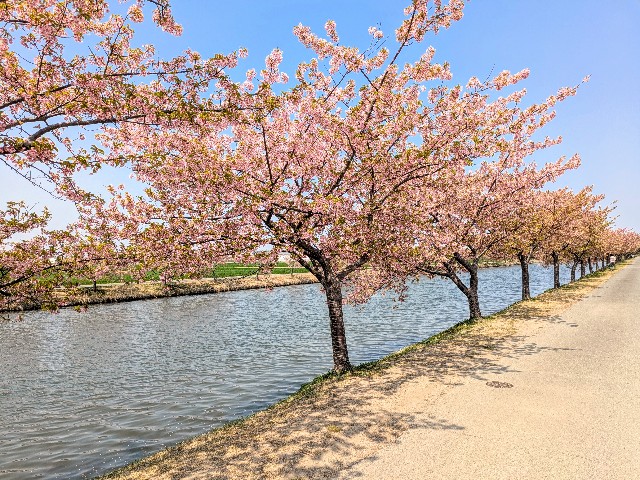 f:id:navi110:20250329182747j:image