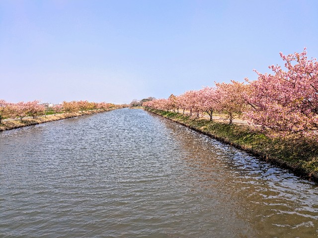 f:id:navi110:20250329182820j:image