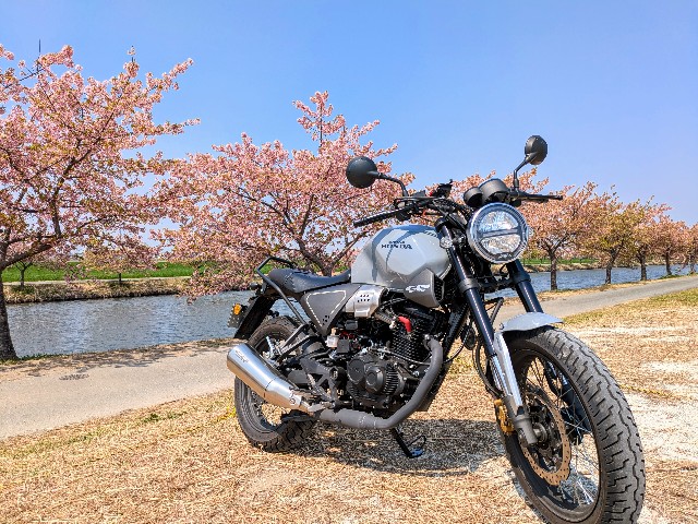 f:id:navi110:20250329183158j:image