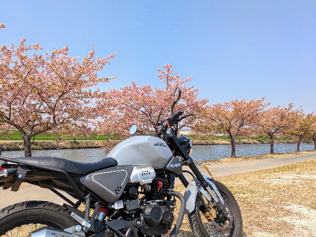 f:id:navi110:20250329183213j:image