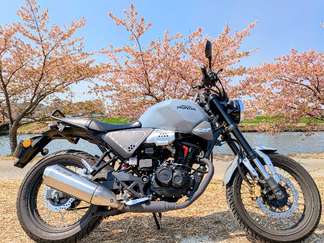 f:id:navi110:20250329183233j:image