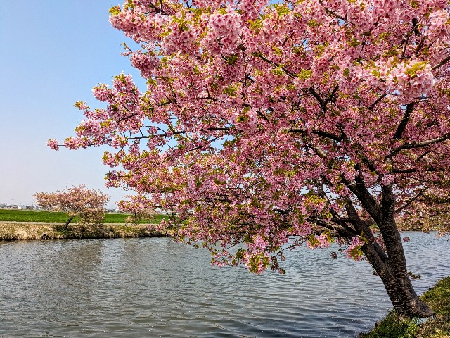 f:id:navi110:20250329183352j:image