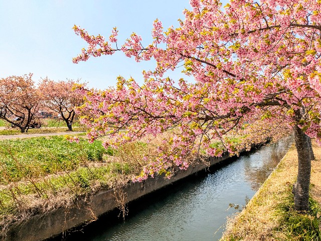 f:id:navi110:20250329183912j:image