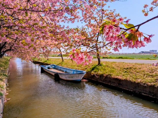 f:id:navi110:20250329184009j:image