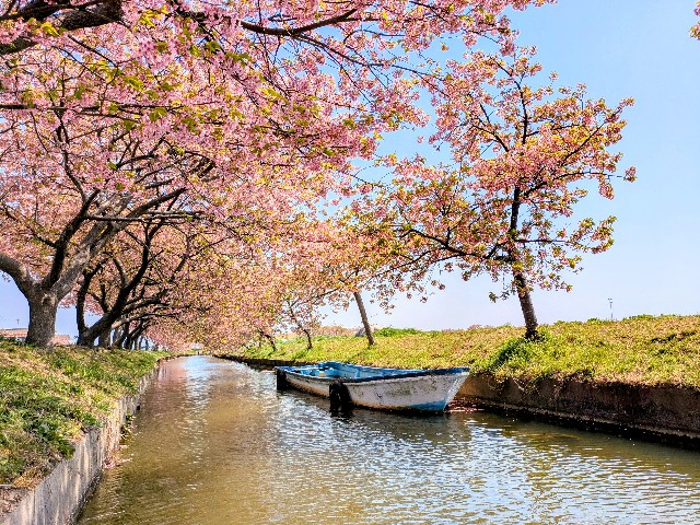 f:id:navi110:20250329184043j:image