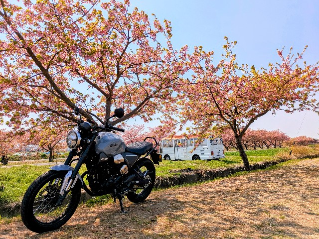 f:id:navi110:20250329184232j:image