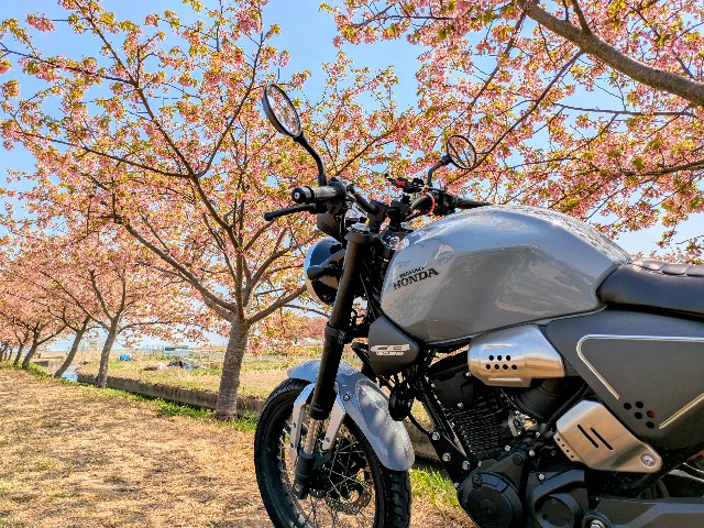 f:id:navi110:20250329190208j:image