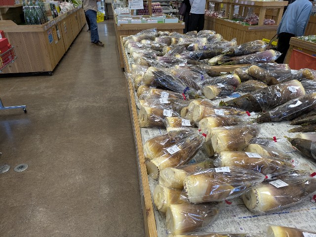 f:id:navi110:20250427111145j:image