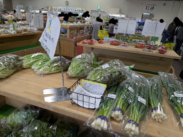 f:id:navi110:20250427111248j:image