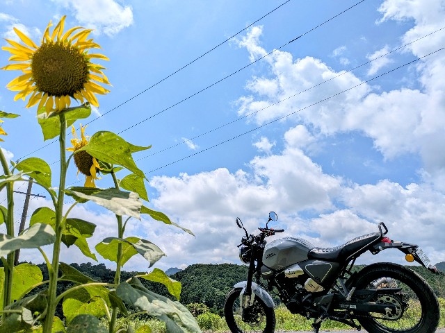 f:id:navi110:20250712185756j:image