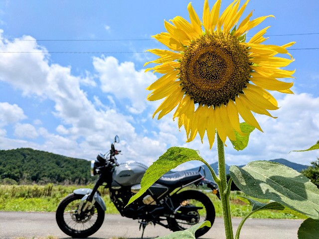 f:id:navi110:20250712185855j:image