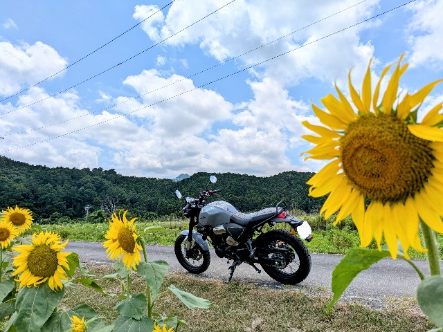 f:id:navi110:20250712185909j:image