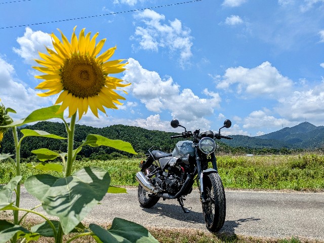 f:id:navi110:20250712190201j:image