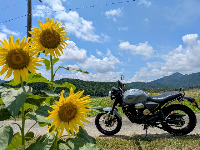 f:id:navi110:20250712190255j:image