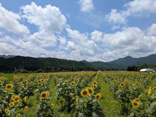 f:id:navi110:20250712190339j:image