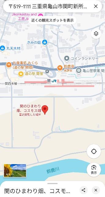 f:id:navi110:20250712190628j:image