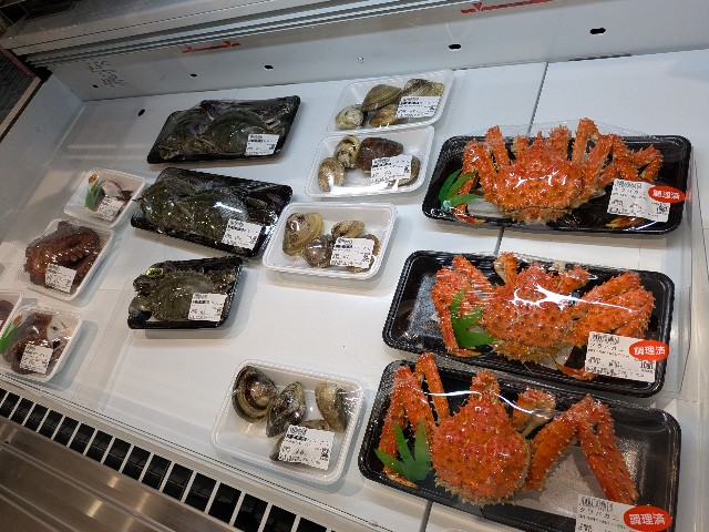 f:id:navi110:20250812192406j:image