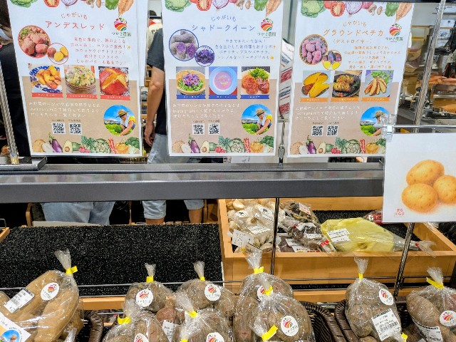 f:id:navi110:20250812192556j:image