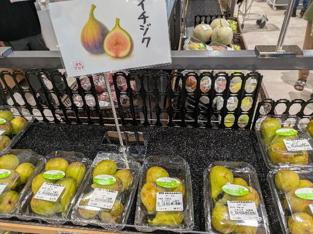 f:id:navi110:20250812192608j:image