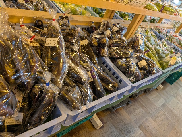 f:id:navi110:20250815200625j:image