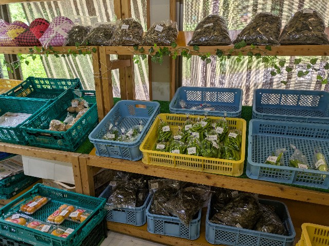 f:id:navi110:20250825172431j:image