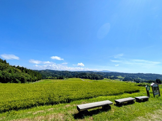 f:id:navi110:20250825174320j:image