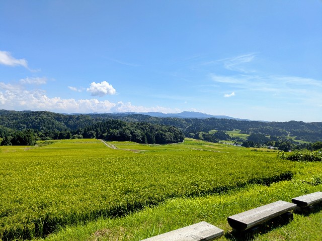 f:id:navi110:20250825174339j:image